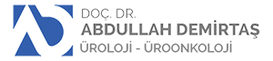Prof. Dr. Abdullah Demirtaş